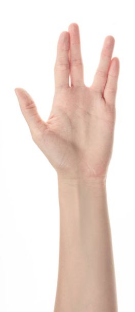 χέρι του νεαρού κοριτσιού σε λευκό φόντο - Φωτογραφία, εικόνα