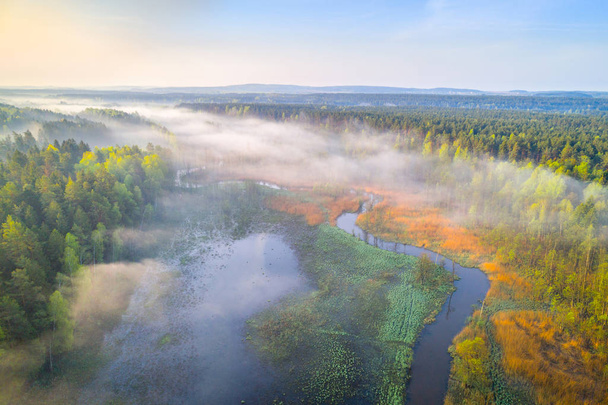 Rivière forestière
 - Photo, image