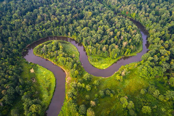Річка ліс
 - Фото, зображення