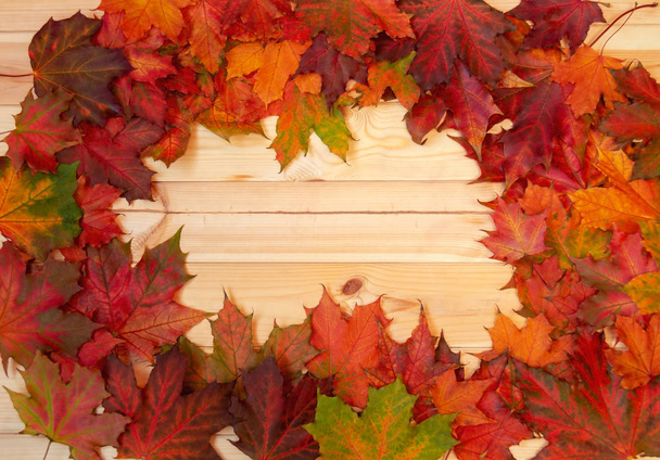 Marco hecho de hojas de arce de otoño sobre fondo de madera
. - Foto, Imagen