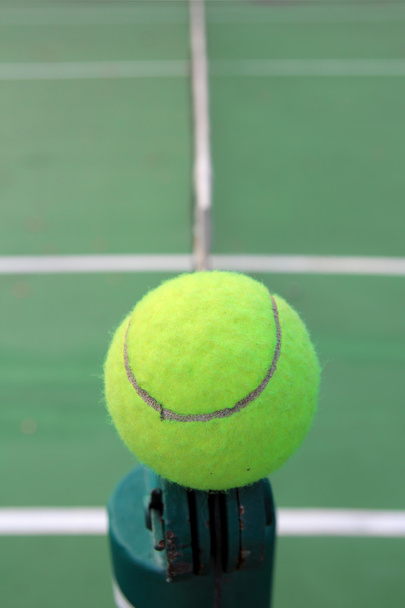 Tennis ball on net - Фото, изображение
