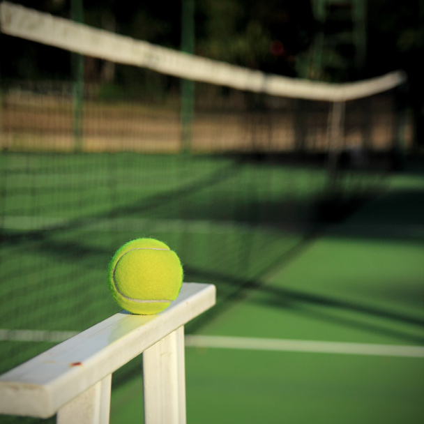 net の背景を持つテニス ボール - 写真・画像
