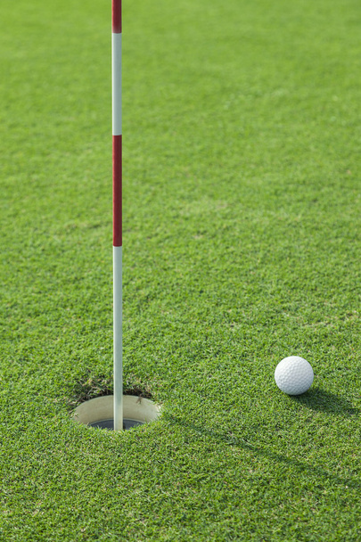 Putter klade golfový míček do otvoru na zelené hřiště - Fotografie, Obrázek