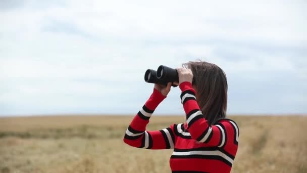 jovem mulher em camisola vermelha com binóculos no campo de trigo
 - Filmagem, Vídeo