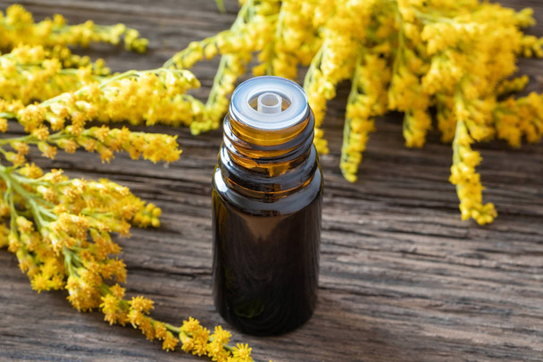 A bottle of goldenrod essential oil with fresh plant - Photo, Image
