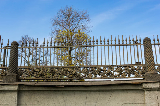 Gesmede Vintage hek met trossen druiven. - Foto, afbeelding