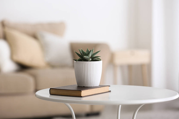 Green succulent in pot with book on table in room - Φωτογραφία, εικόνα