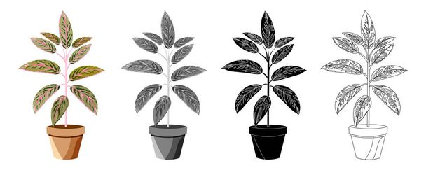 Indoor and outdoor landscape garden potted plants isolated on white. - Photo, Image