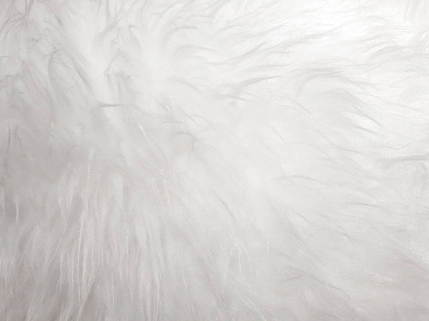 Nahaufnahme Hintergrund und Textur des weißen Teppichs flauschiges Haar weich mit natürlichem Licht. - Foto, Bild