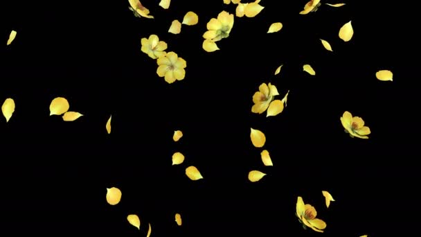 3D-animatie van een bloemblaadjes flow met alpha-laag - Video