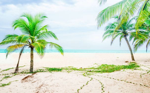 Spiaggia tropicale vicino al villaggio Tangalle - Sri Lanka
 - Foto, immagini