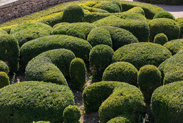   Jardins de Marqueyssac Fransa'nın Dordogne bölgedeki bahçelerde budama sanatı - Fotoğraf, Görsel