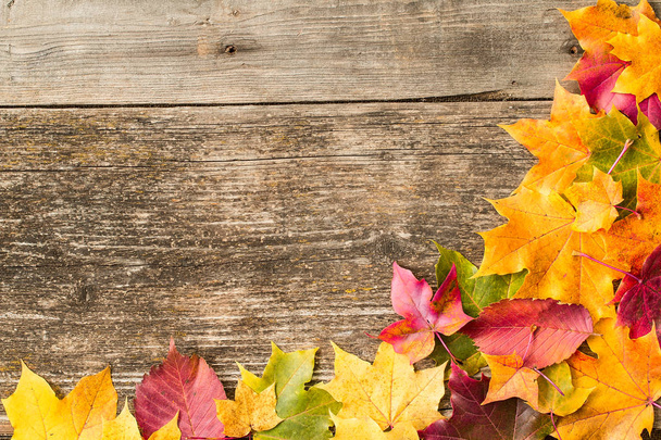 Colorful fall maple leaves on rustic wooden background. - Photo, Image