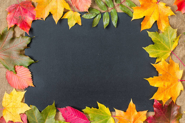 bunte Herbst-Ahornblätter auf rustikalem Holzhintergrund - Foto, Bild
