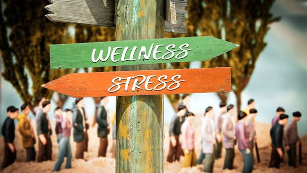 Street Sign to Wellness versus Stress - Photo, Image