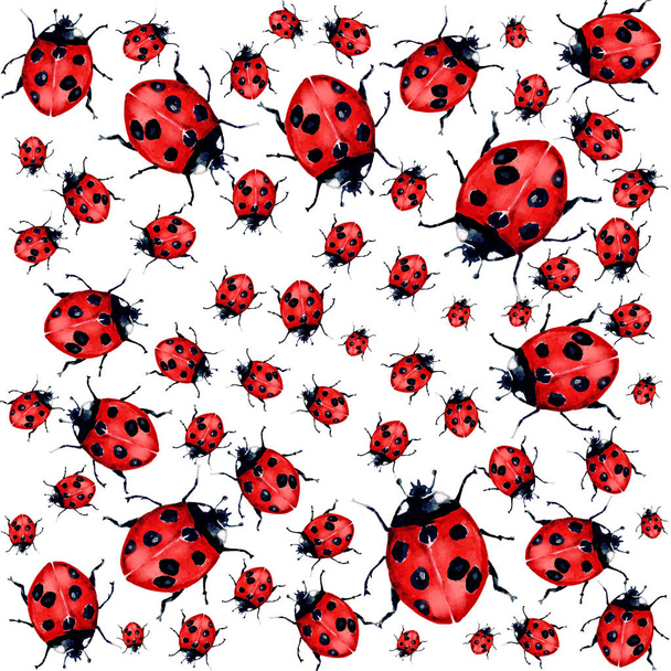 Beautiful red lady bug art illustration - Zdjęcie, obraz