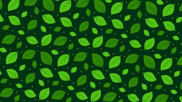 Donker groene achtergrond met bladeren - Video