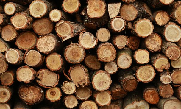 Holzstapelreserve für den Winter. - Foto, Bild