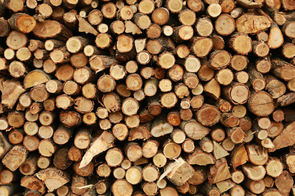 Réserve de pieux de bois pour l'hiver
. - Photo, image