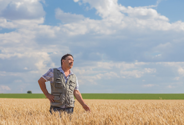 farmer standing in a wheat field - Photo, Image