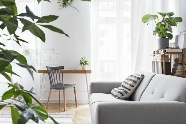 Modern scandinavian living room with design furniture, grey sofa, plants, bamboo bookstand and wooden desk. Brown wooden parquet. Nice apartment. Stylish decor. Bright and sunny side of home space. - Φωτογραφία, εικόνα