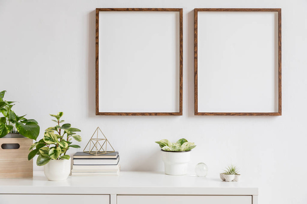Elegant home interior with two brown wooden mock up photo frames above the white shelf with books, plants, gold pyramid, wooden box and home accessories. Stylish concept of white room decor.  - 写真・画像