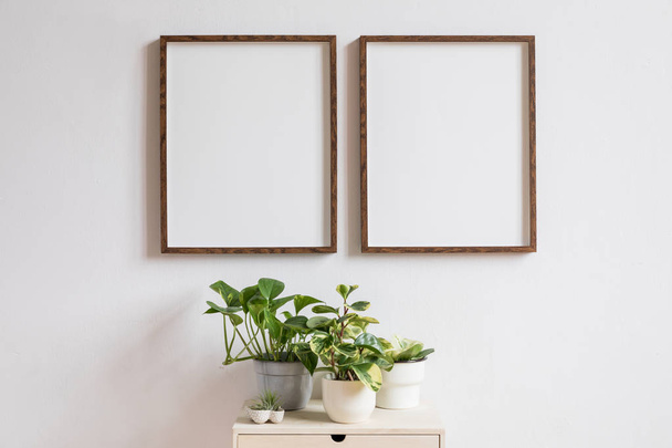 Stylish home interior with two brown wooden mock up photo frames above the wooden shelf with plants composition in design pots. Modern and minimalistic concept of white room decor.  - Foto, Bild