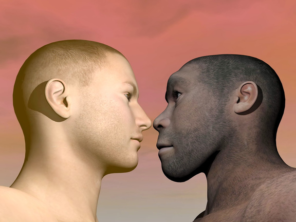 Homme moderne et homo erectus - rendu 3D
 - Photo, image