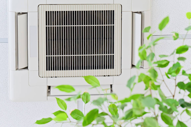 Κλιματιστικό οροφής στο σύγχρονο γραφείο ή στο σπίτι με πράσινα φύλλα φίκο - Φωτογραφία, εικόνα