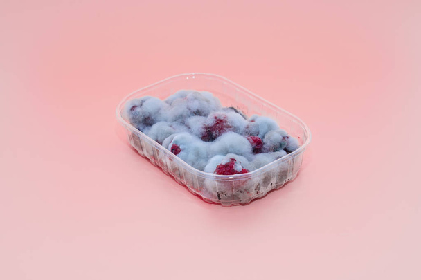 Closeup of rotten moldy raspberry in plastic box isolated on pink - Zdjęcie, obraz