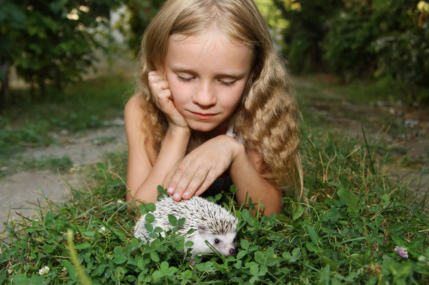 little girl with her pet African pygmy hedgehog - Photo, Image