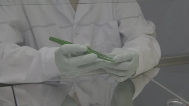 nuevo laboratorio humano de la muestra de piel
 - Metraje, vídeo