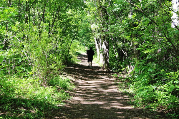 Puiden ja pensaiden vihreät lehdet, puiston metsäpolku ja juoksevan miehen siluetti aurinkoisena päivänä kehystävät
 - Valokuva, kuva
