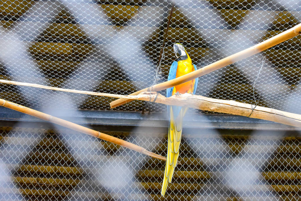チャイナットタイ12月26 2019チャイナットバードパで鳥を参照してください - 写真・画像