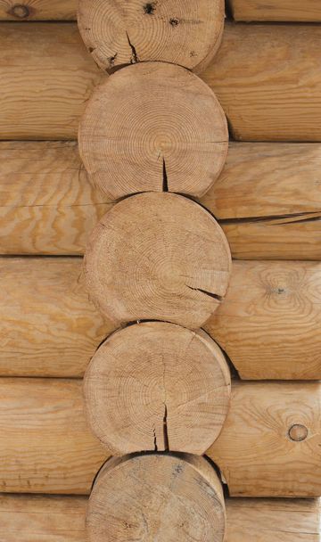 background of wooden logs in natural light - Photo, Image