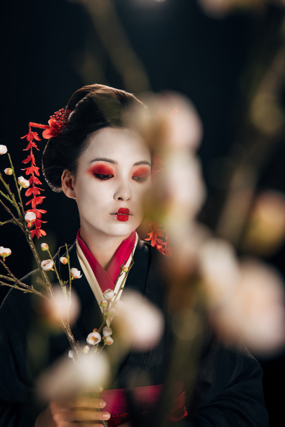 selective focus of beautiful geisha in black kimono with red flowers in hair and sakura branches isolated on black - Foto, Imagen