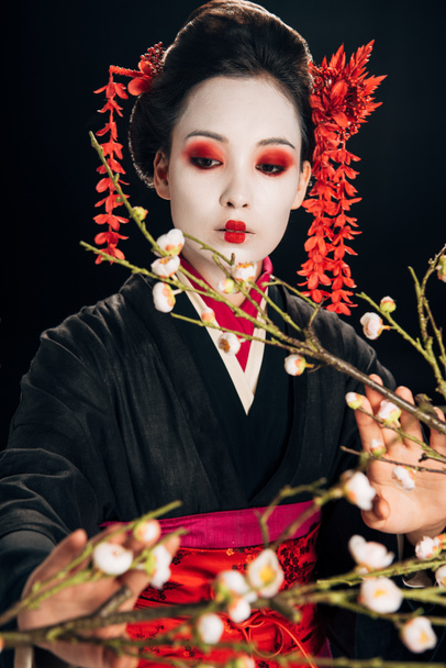 selective focus of beautiful geisha in black kimono with red flowers in hair touching sakura branches isolated on black - Fotó, kép