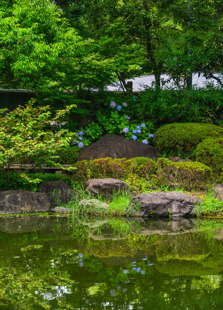 Идиллический пейзаж японского сада
 - Фото, изображение