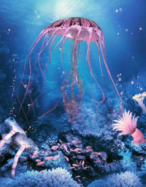 Compass Jellyfish in Ocean - Photo, Image