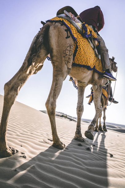 Dromedar mit Touristen in der Thar-Wüste - Foto, Bild