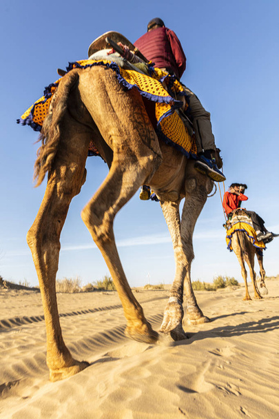 dromedario con turista en el desierto de Thar
 - Foto, imagen