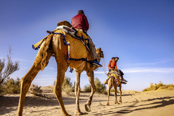 dromedary with tourist in the thar desert - Photo, Image