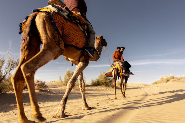Dromedaris met toerist in de Thar-woestijn - Foto, afbeelding