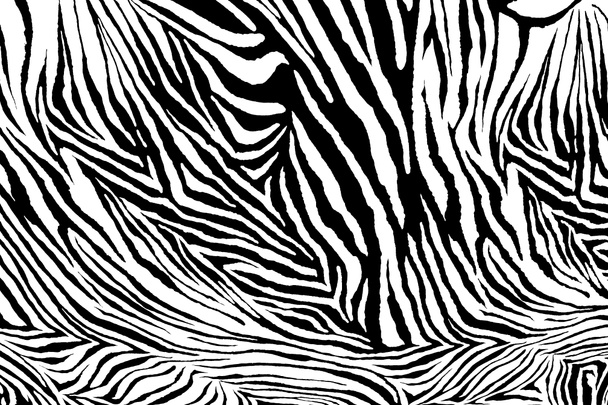 Zebra Textur Stoff Stil. - Foto, Bild