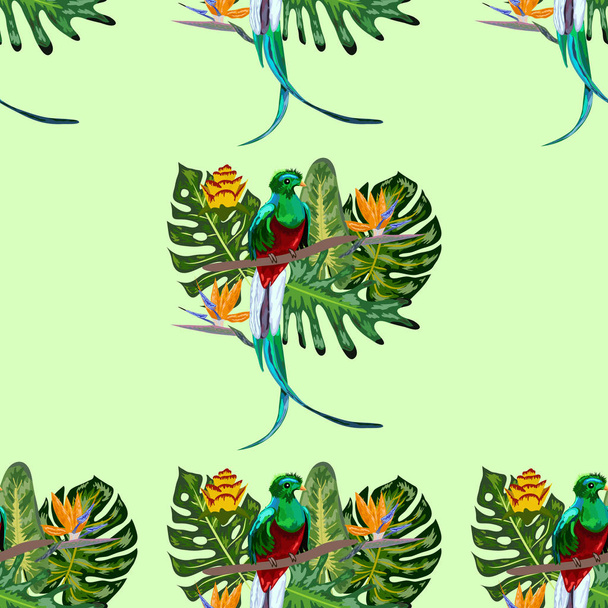 Απρόσκοπτη μοτίβο των απειλούμενων ειδών πτηνών υπέροχη θέα της Γουατεμάλας που κάθεται σε ένα κλαδί με φόντο ένα τροπικό φύλλωμα και λουλούδια, σχεδιασμός - Διάνυσμα, εικόνα