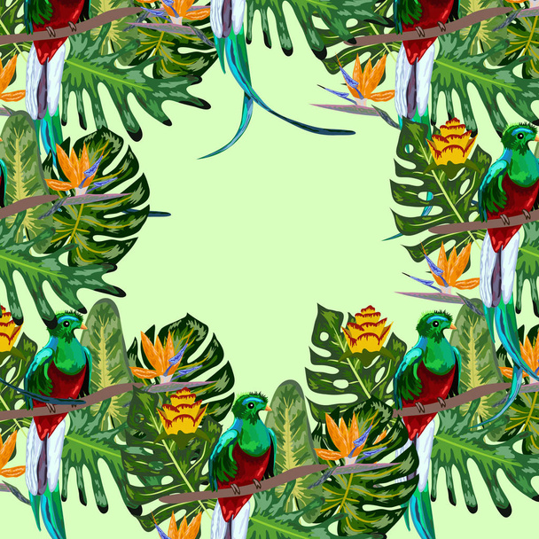 Bezszwowy wzór zagrożonych gatunków ptaków wspaniały olśniewający Quetzal siedzi na gałęzi na tle tropikalnych liści i kwiatów, projektowanie - Wektor, obraz