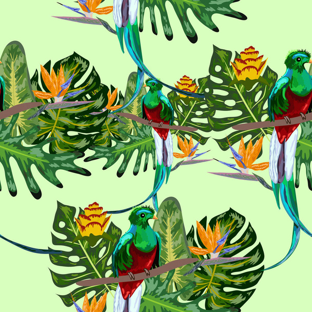 Patrón inconsútil de especies de aves en peligro de extinción Magnífico quetzal resplandeciente sentado sobre una rama en el fondo de un follaje tropical y flores, diseño
 - Vector, Imagen