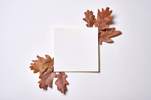 Autumn composition. Frame made of blank paper, autumn dried oak  - Foto, imagen