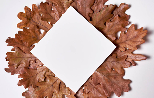 Autumn composition. Wreath frame made of blank paper, autumn dri - 写真・画像
