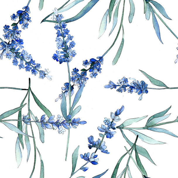 Blue lavender floral botanical flowers. Watercolor background illustration set. Seamless background pattern. - Photo, image